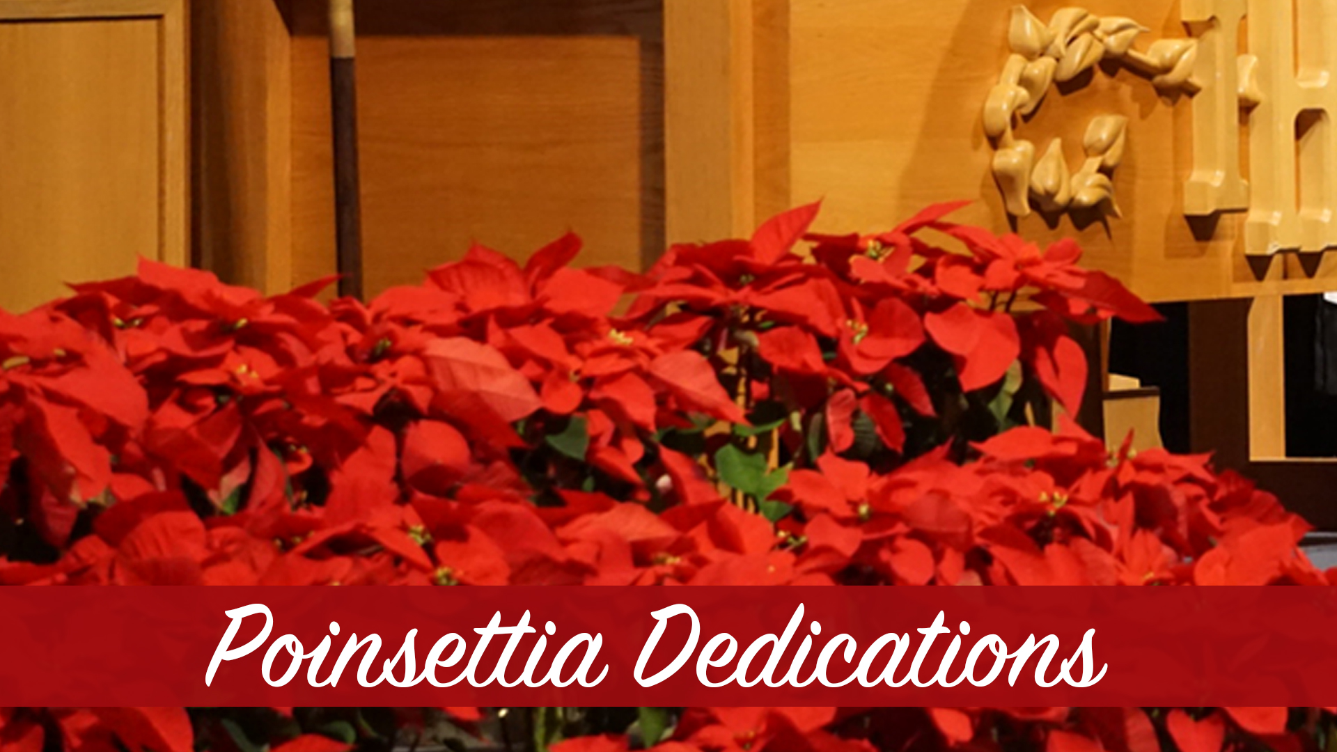 Poinsettia Dedications | FUMC Hurst TX